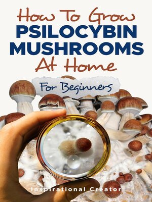 cover image of How to Grow Psilocybin Mushrooms at Home for Beginners